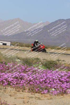 media/Feb-04-2023-SoCal Trackdays (Sat) [[8a776bf2c3]]/Turn 15 Inside Blooming (1050am)/